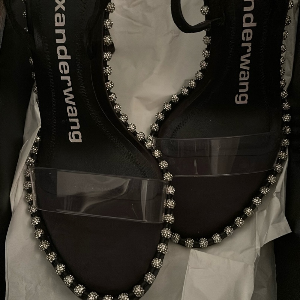 Alexander Want Crystal Sandals good condition worn twice